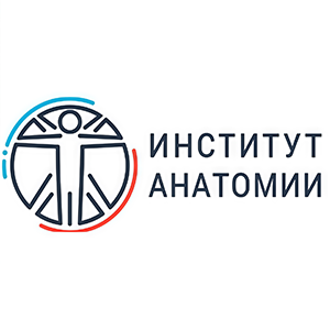 anatomyinstitute
