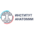 anatomyinstitute